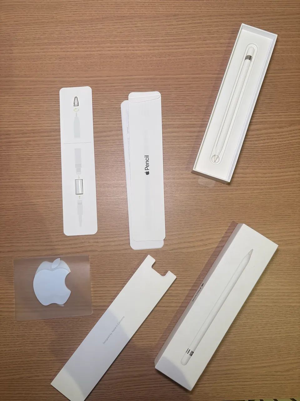 Apple Pencil 1ª geração original