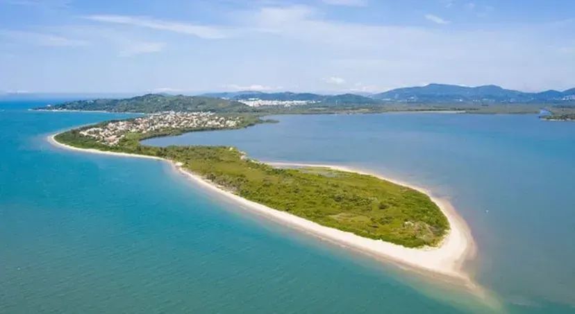 Imóvel para venda com 630 metros quadrados em Daniela - Florianópolis - SC - Foto 2