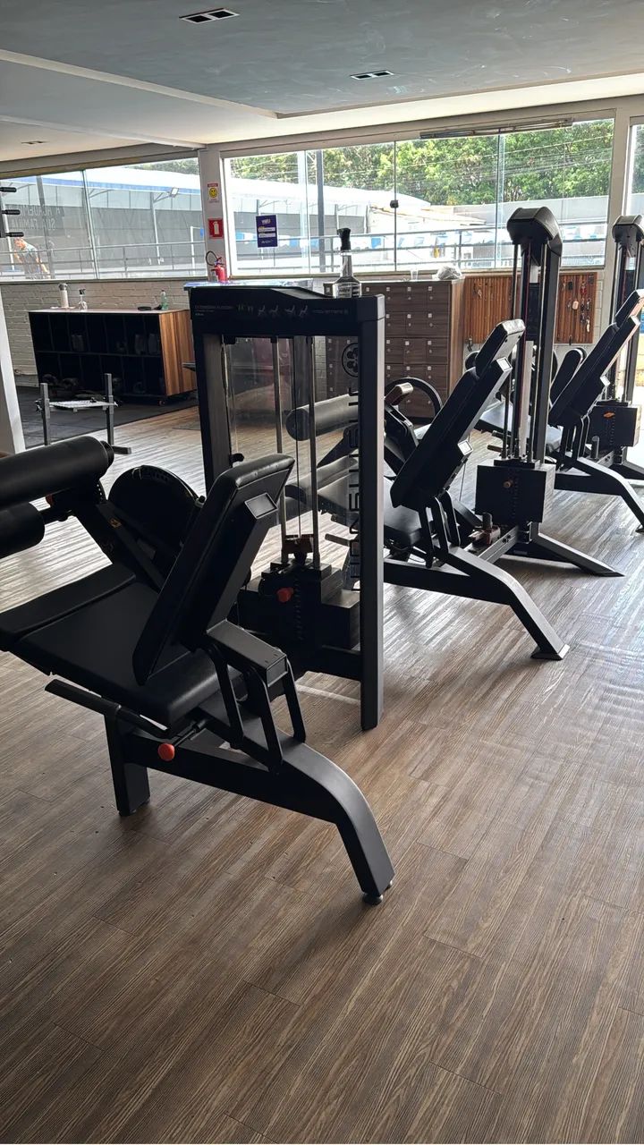 Cadeira extensora/flexora Movement 