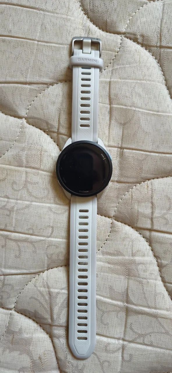 Garmin 165 music