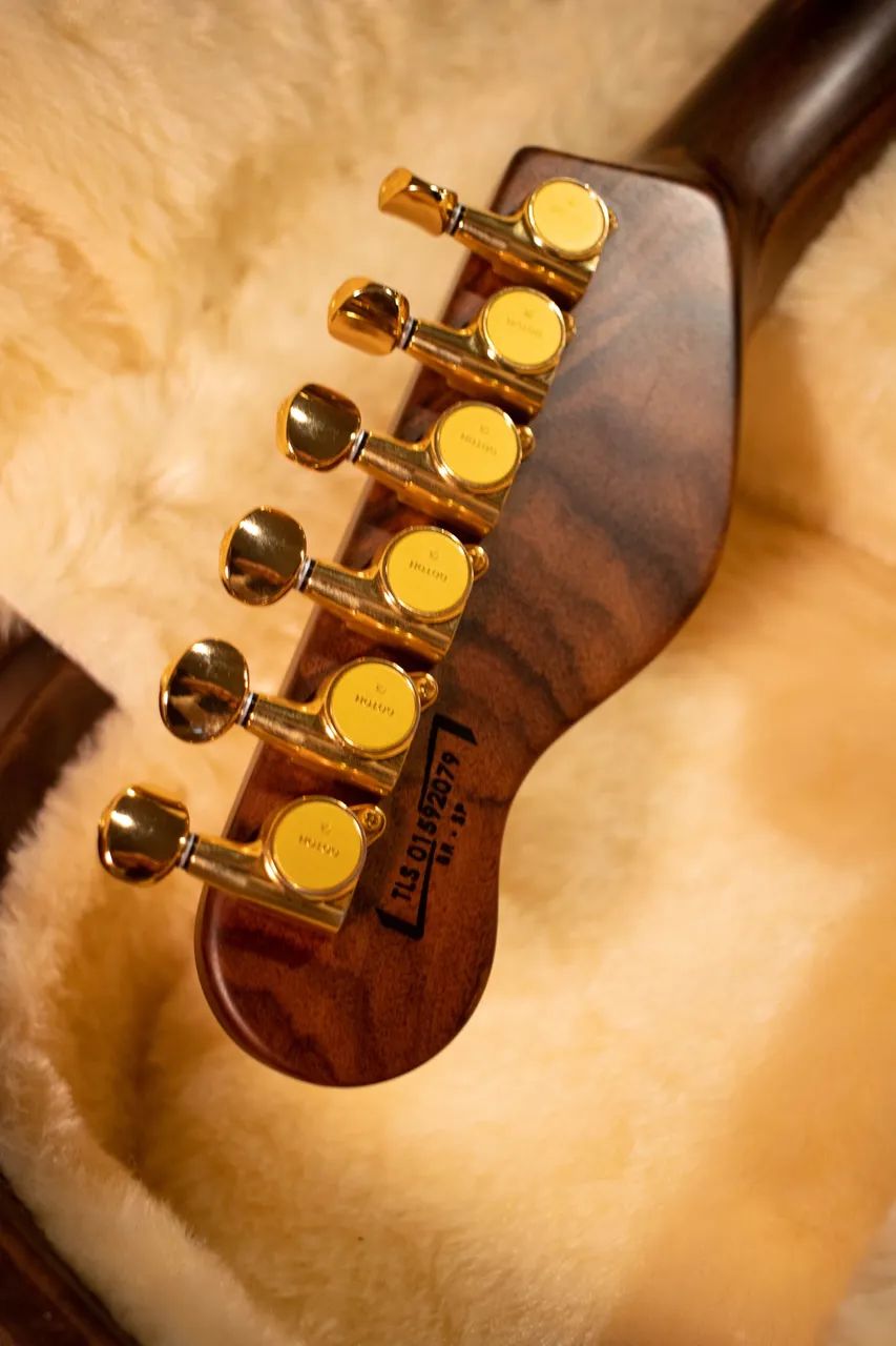 Guitarra Music Maker TLS 2014 - Foto 5