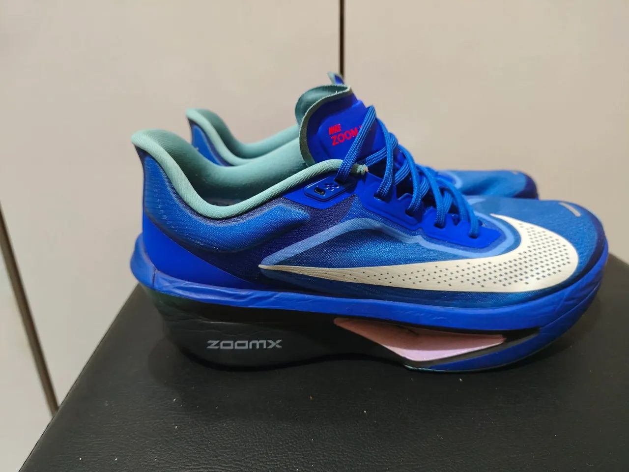 Nike Zoom Fly 6