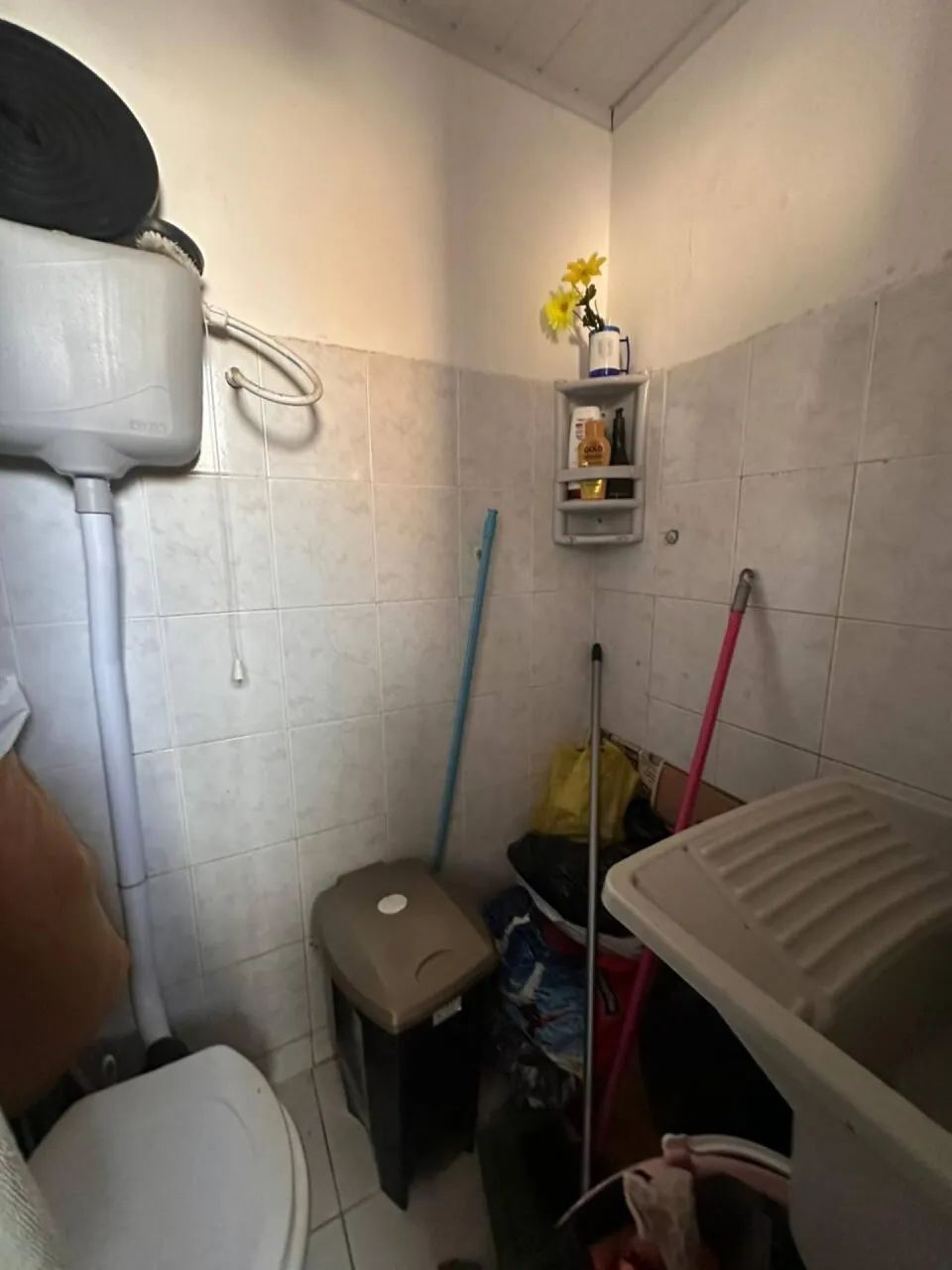 Mata Atlântica 2 / 2/4 com Dep - Foto 2