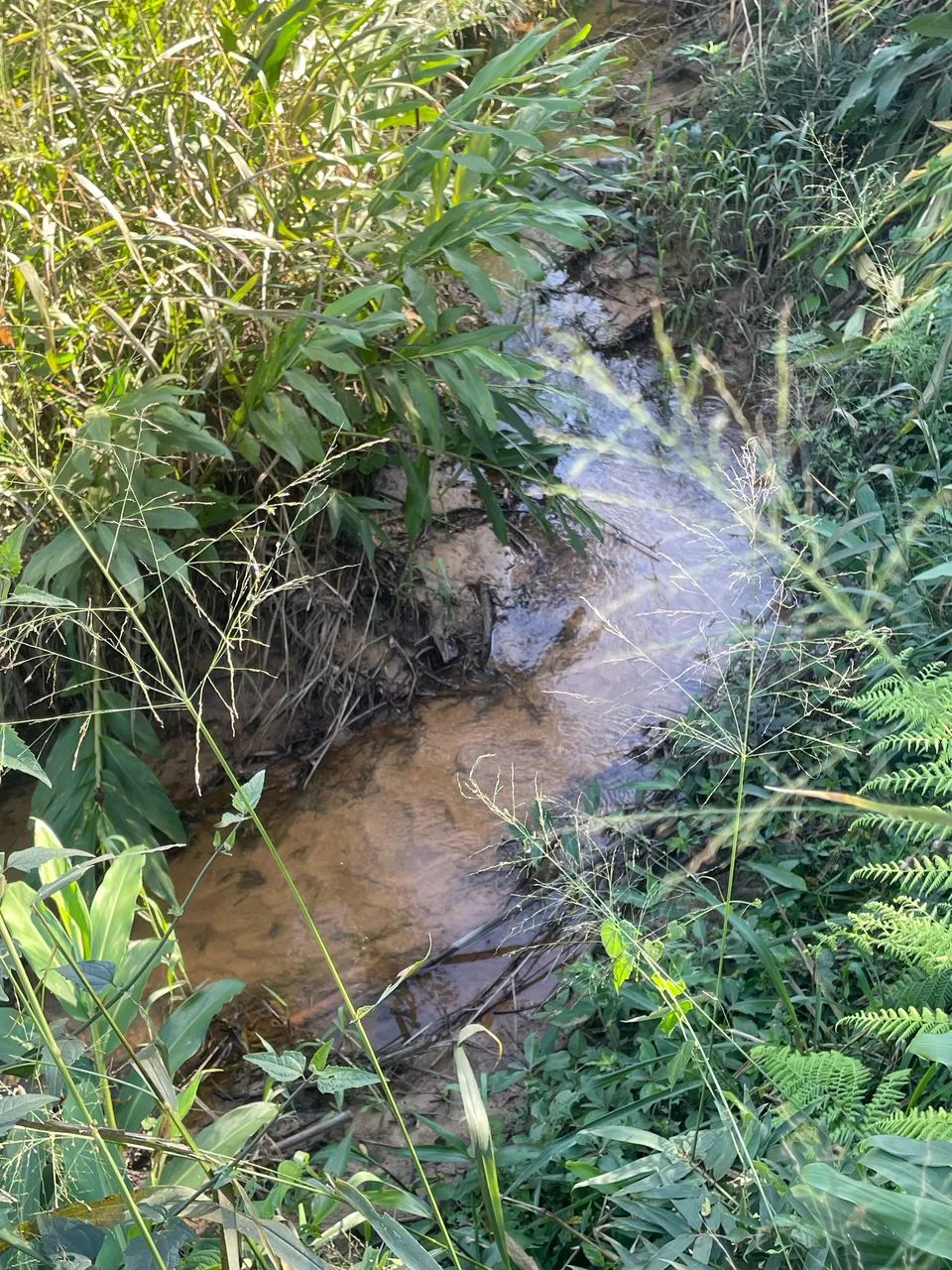 TERRENO À VENDA! 4000m2 Com Riozinho  - Foto 5
