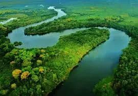 BIOMA AMAZÔNICO: Área de terras à venda de 2 mil hectares com ICMBio. - Foto 4