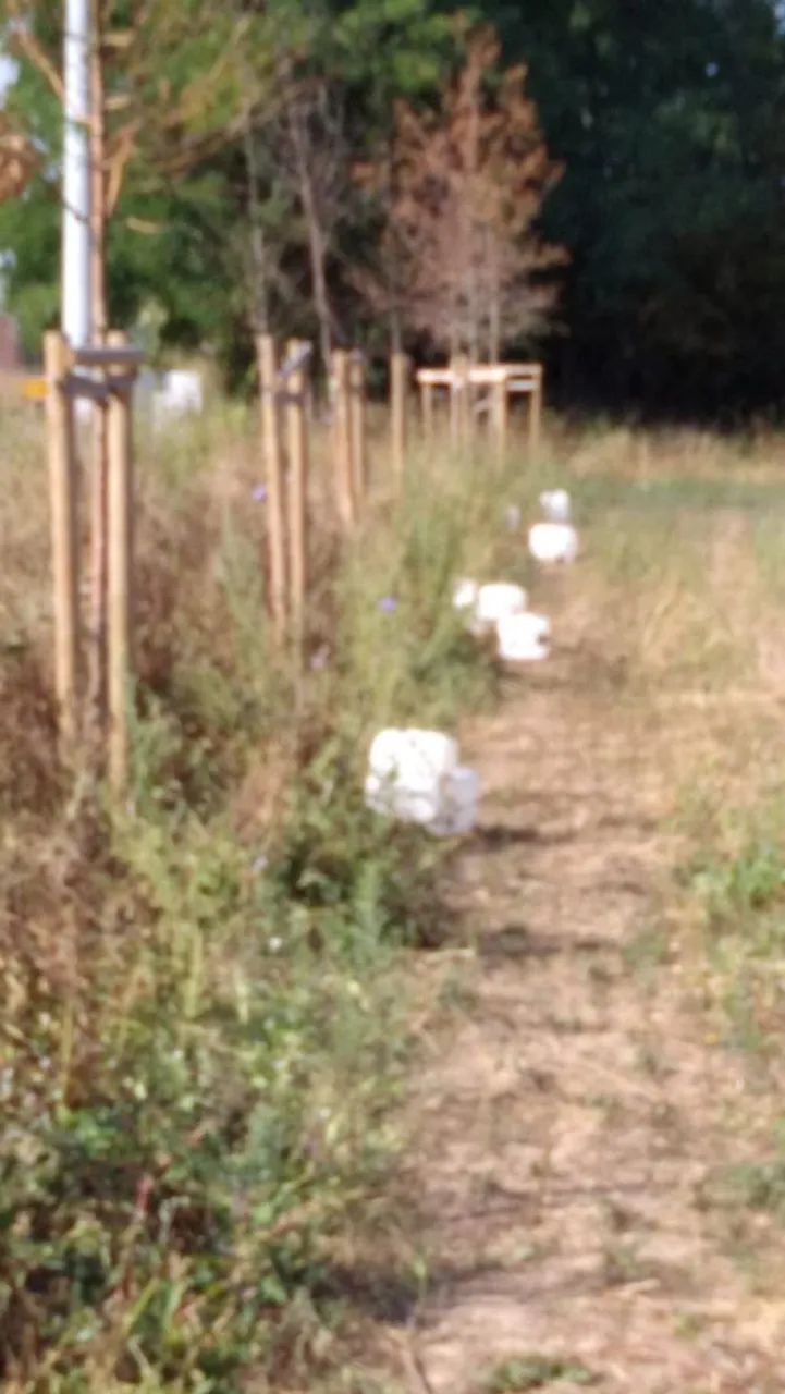 Serviços de limpeza de terrenos  - Foto 2