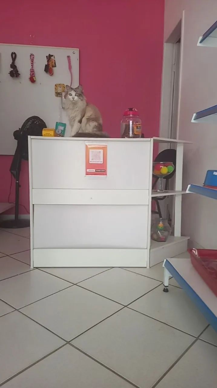Balcão para lojas 