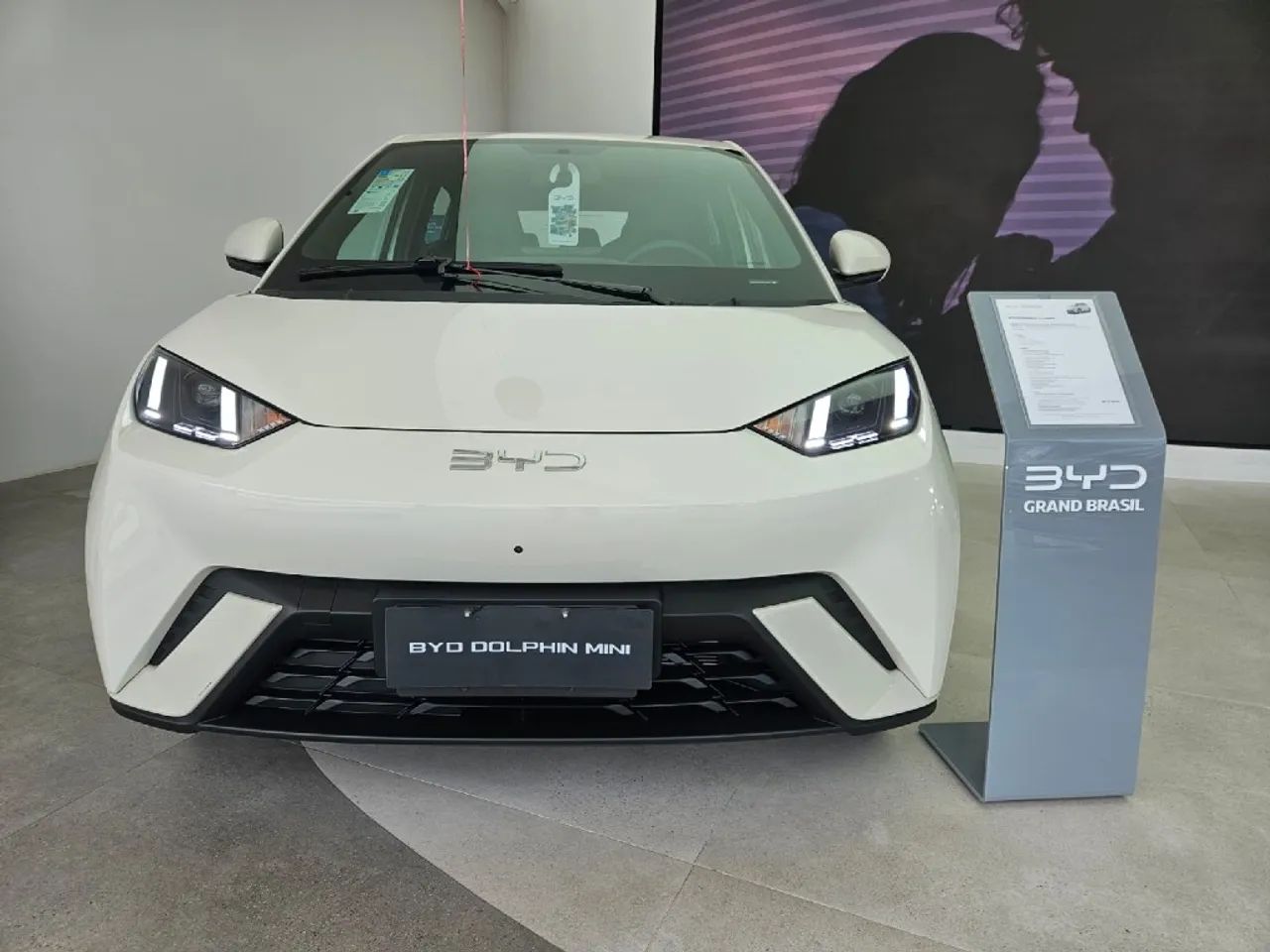 BYD Dolphin Mini (Elétrico) 2027 - Foto 3