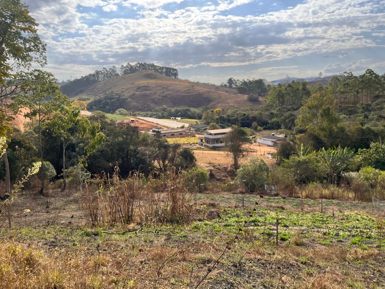 Lote a venda em Alfredo Vasconcelos  - Foto 5