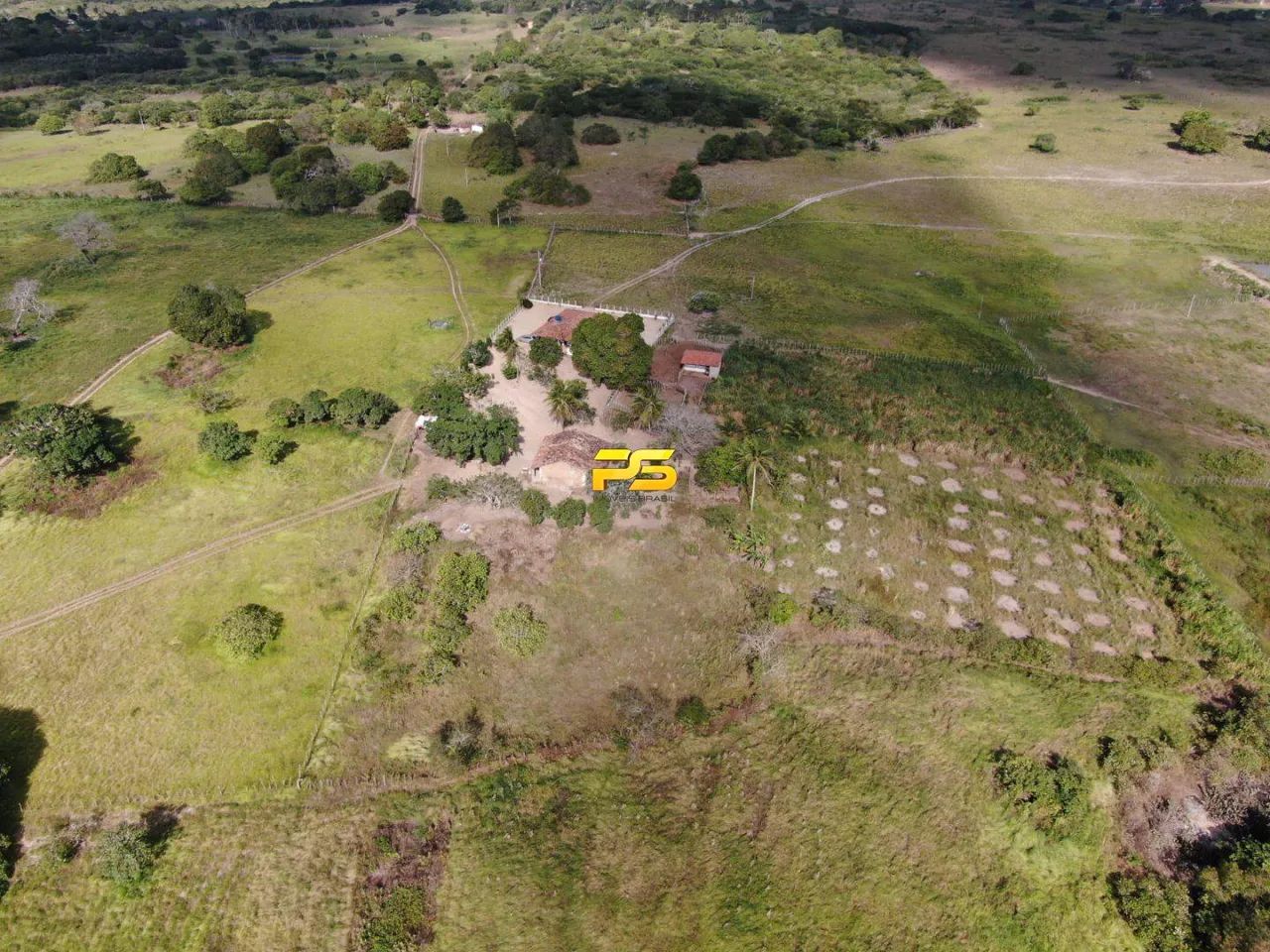 Fazenda 67 hectares em Jacaraú/PB à Venda REF: PS7738 - Foto 5