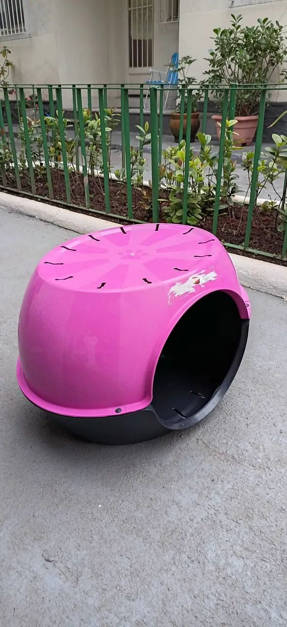 Acessórios para Gatos - Foto 5