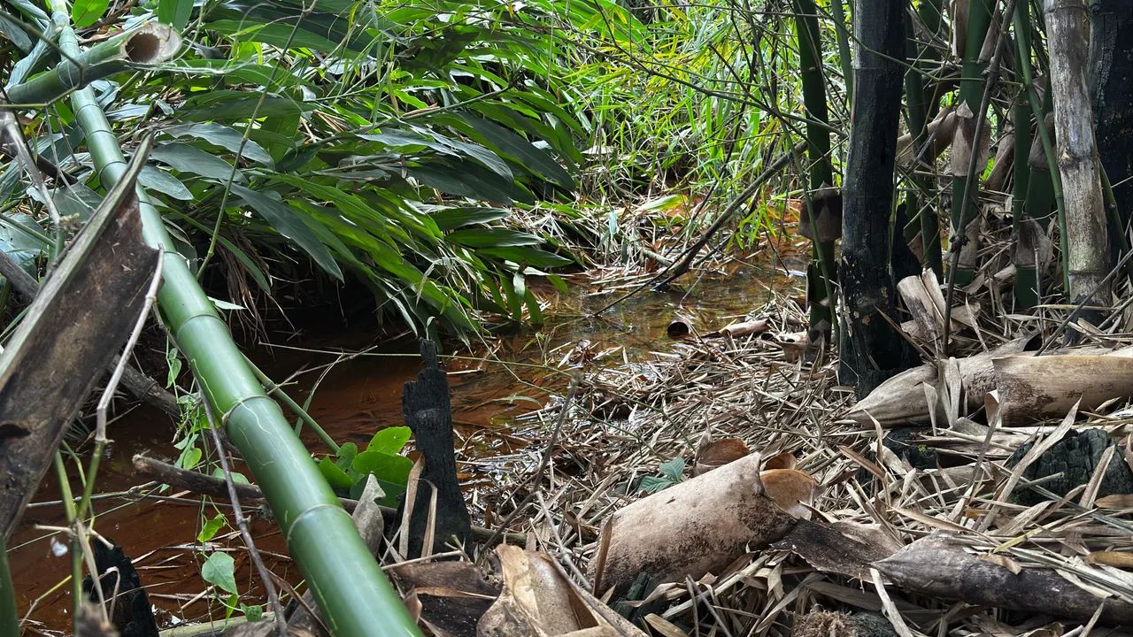 Chácara a venda em um lugar de sossego! - Foto 5