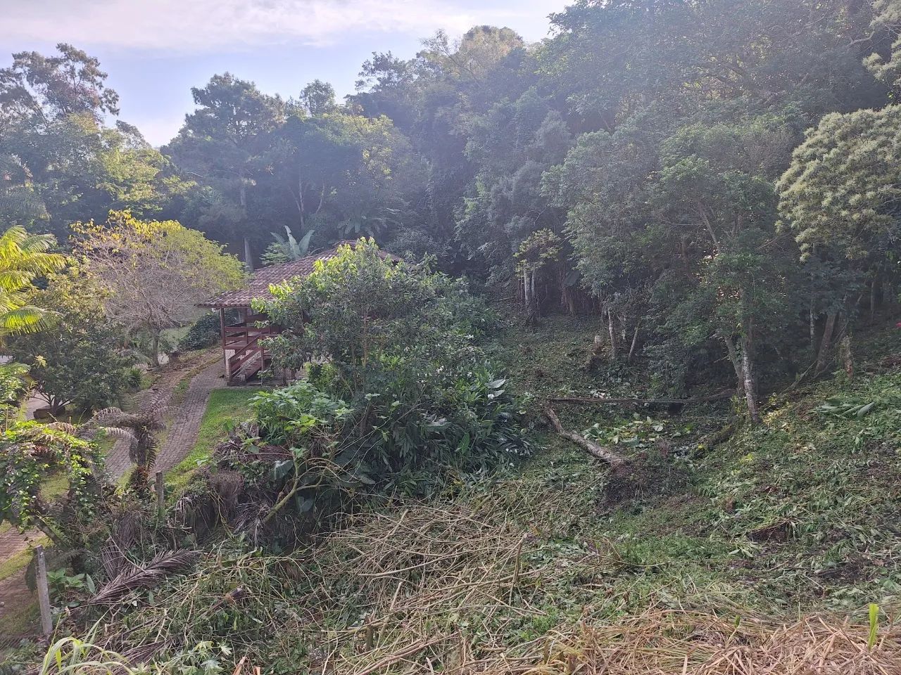Terreno à venda no Sambaqui - Foto 3