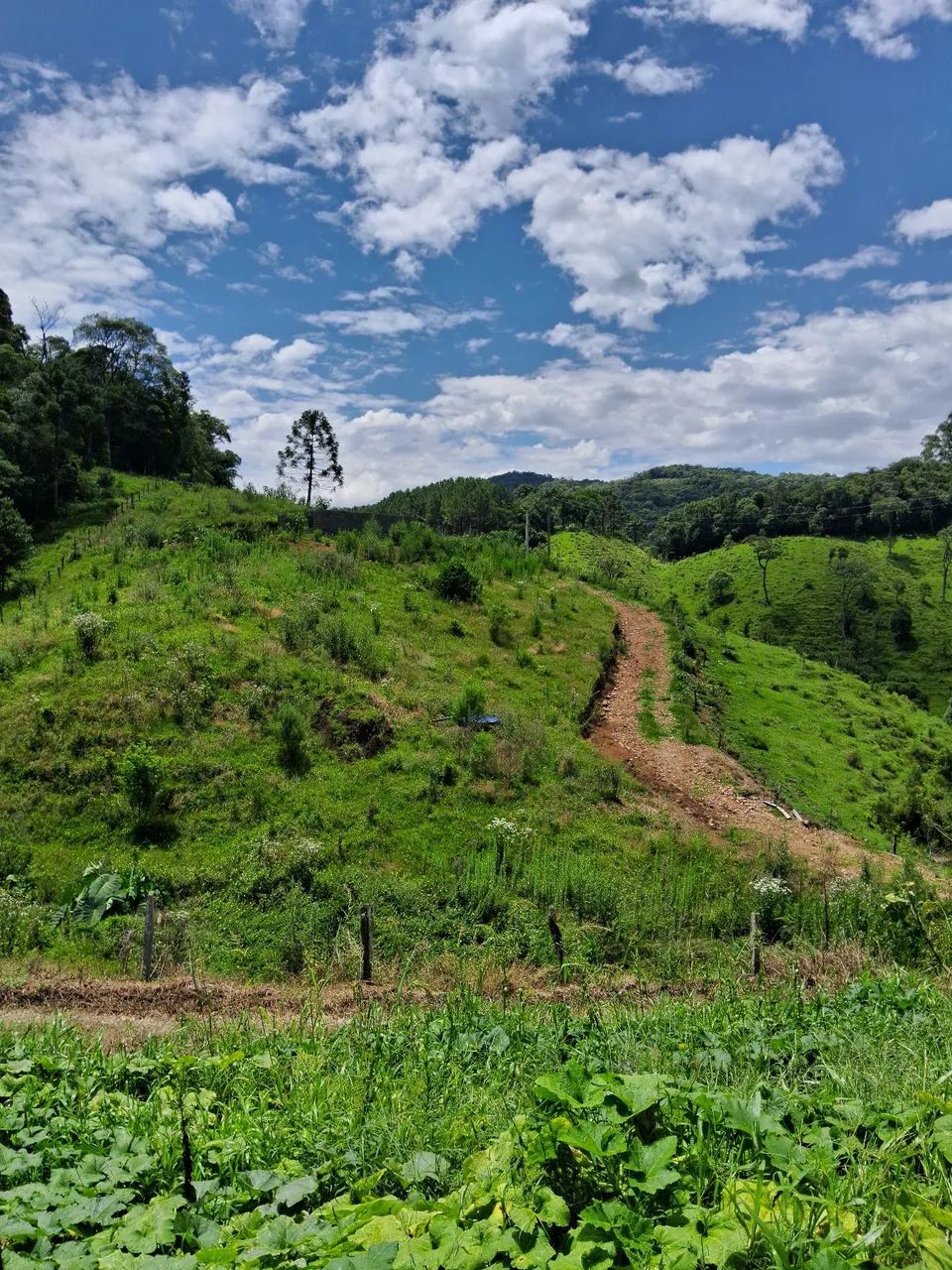 Terreno com riacho em Anitápolis-SC  - Foto 2