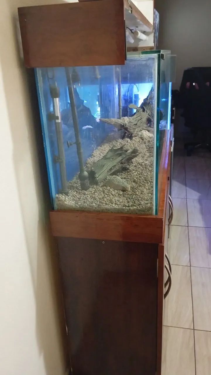Vendo aquário 240 litros completo  - Foto 3