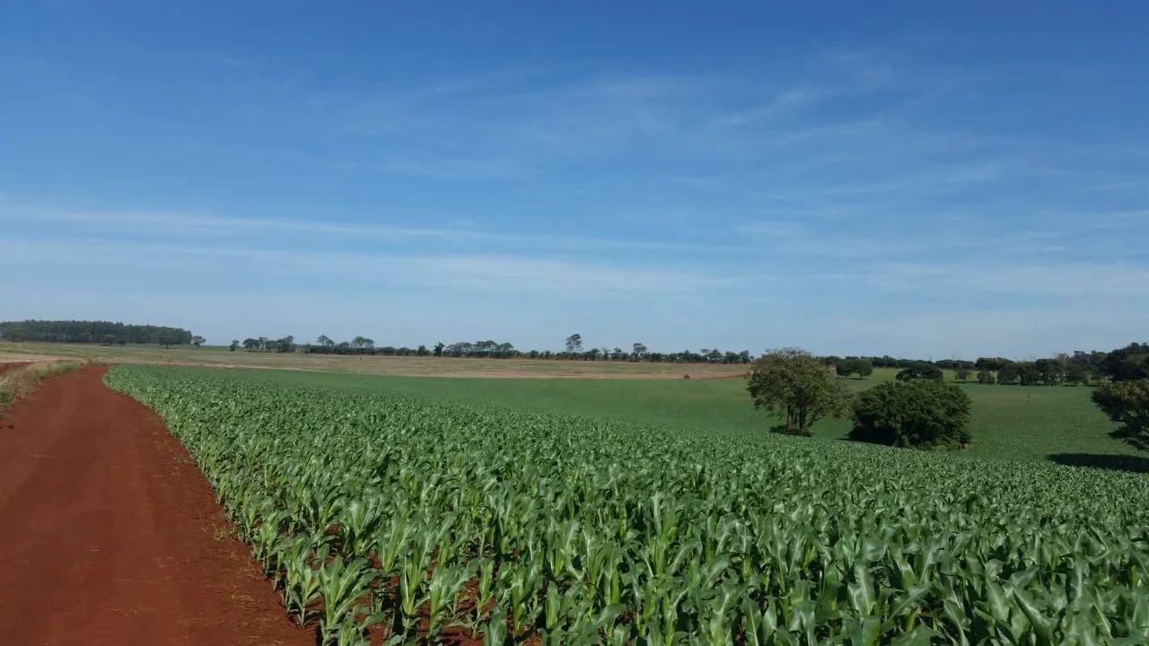 Fazenda avenda  - Foto 5