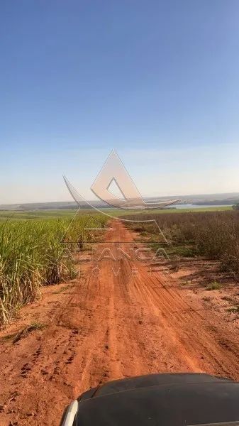 Fazenda - Bariri - Zona Rural - Foto 3