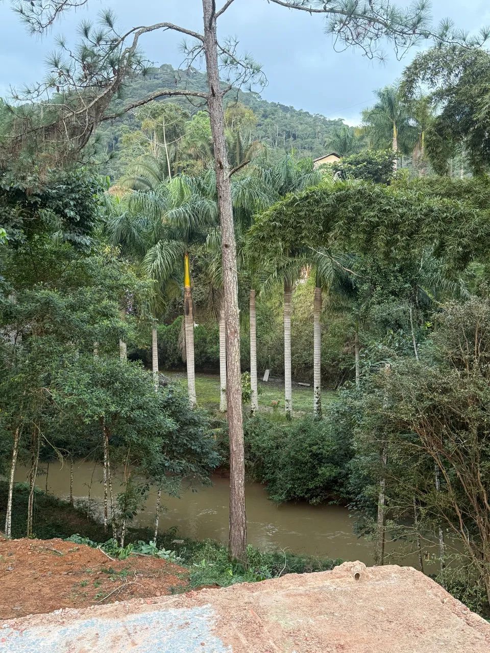 MARECHAL FLORIANO - Chácara / Terreno com Riacho passando dentro. - Foto 5