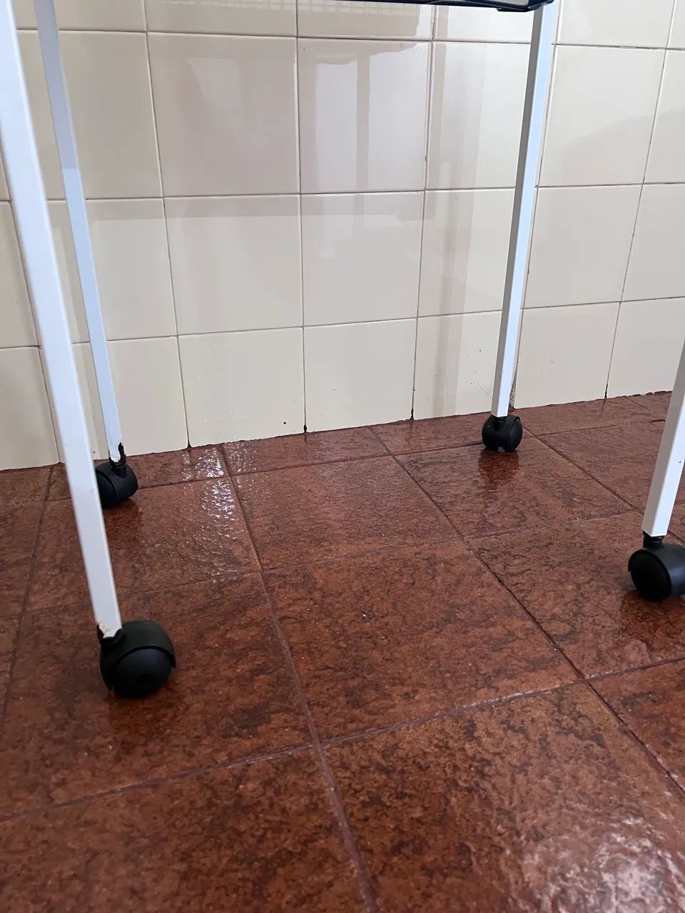 Gaiola grande Calopsita ou outros pássaros  - Foto 5