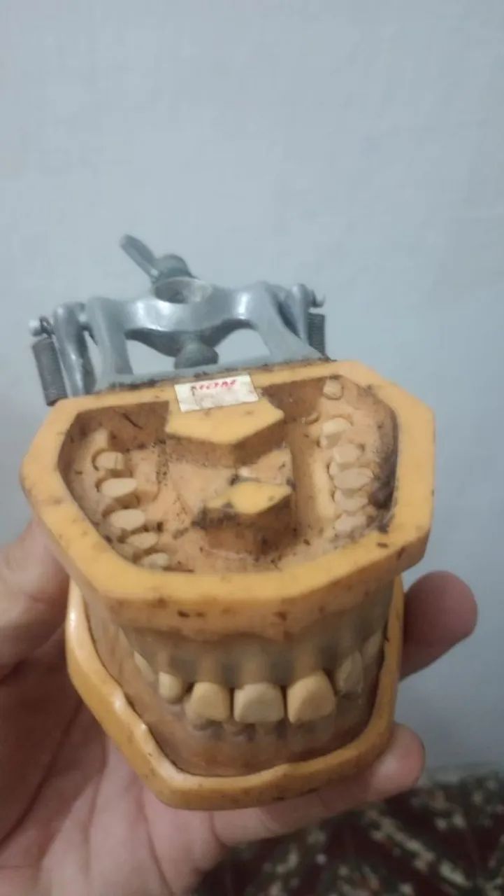 Modelo odontológico 