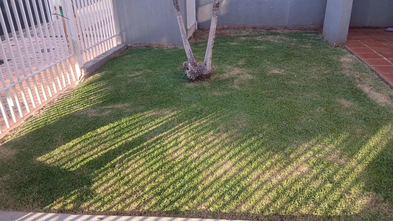 Jardineiro gramas e terrenos em geral  - Foto 3
