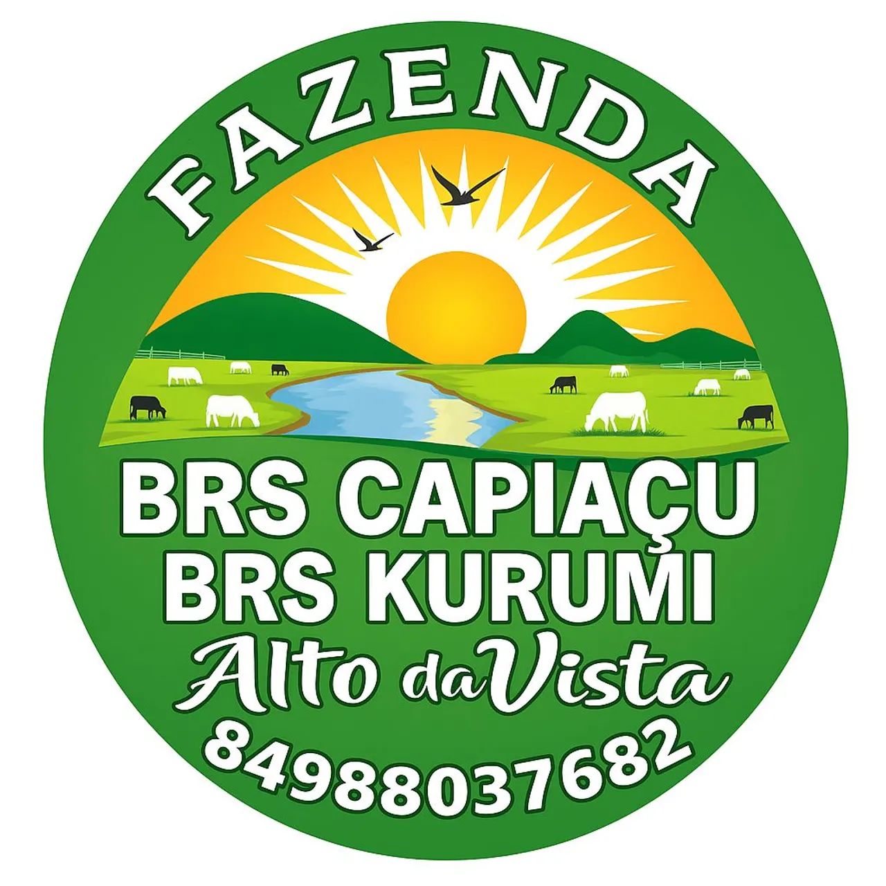 Capim Açu  - Foto 6