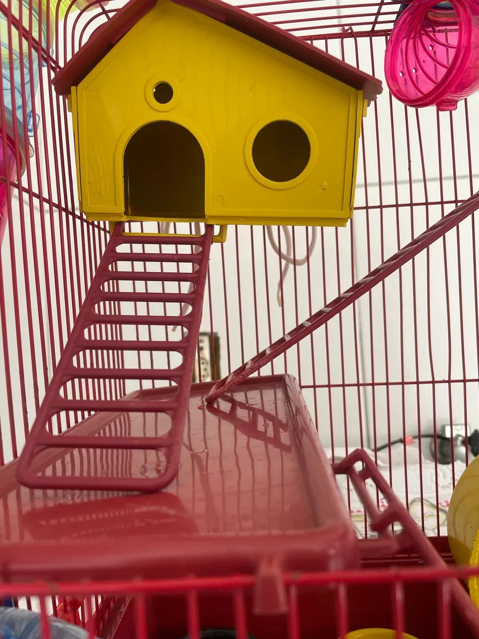 Gaiola Hamster ?  - Foto 3