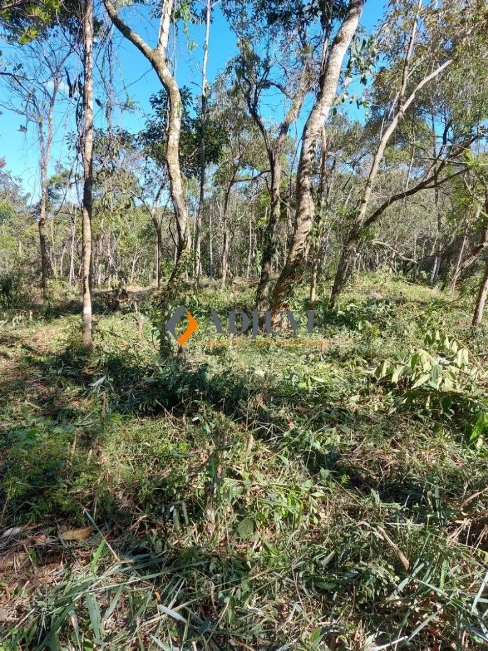 Araras, área nobre! Terreno com 10.014,68 m² - Foto 3