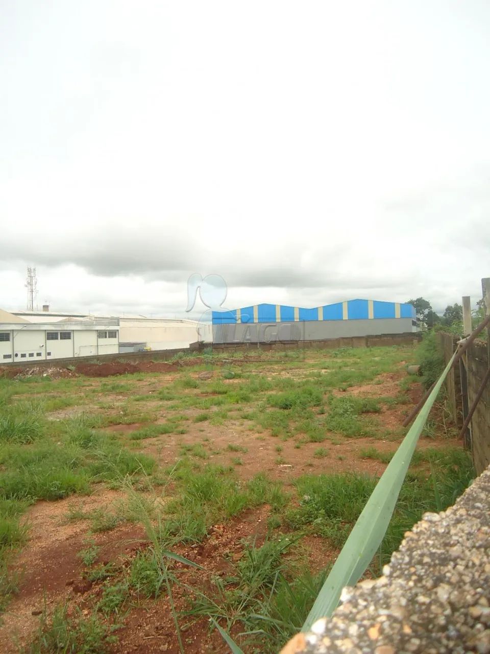 TERRENO NO LAGOINHA