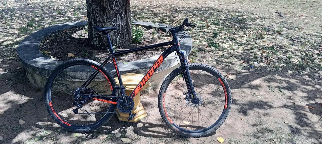Bicicleta Aro 29