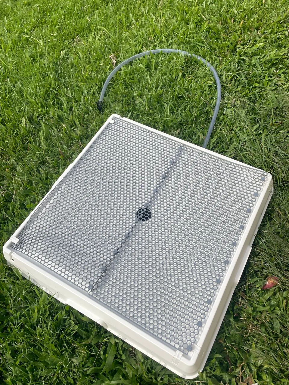 Tapete higiênico pet