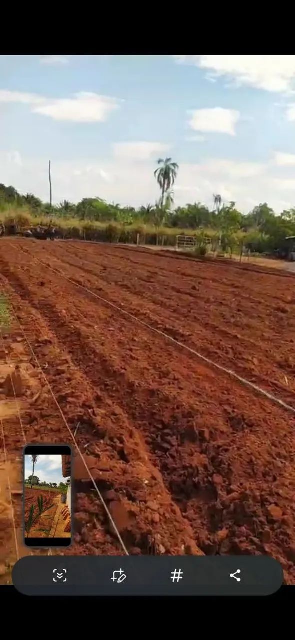 Lote setor de xhacara - Foto 4