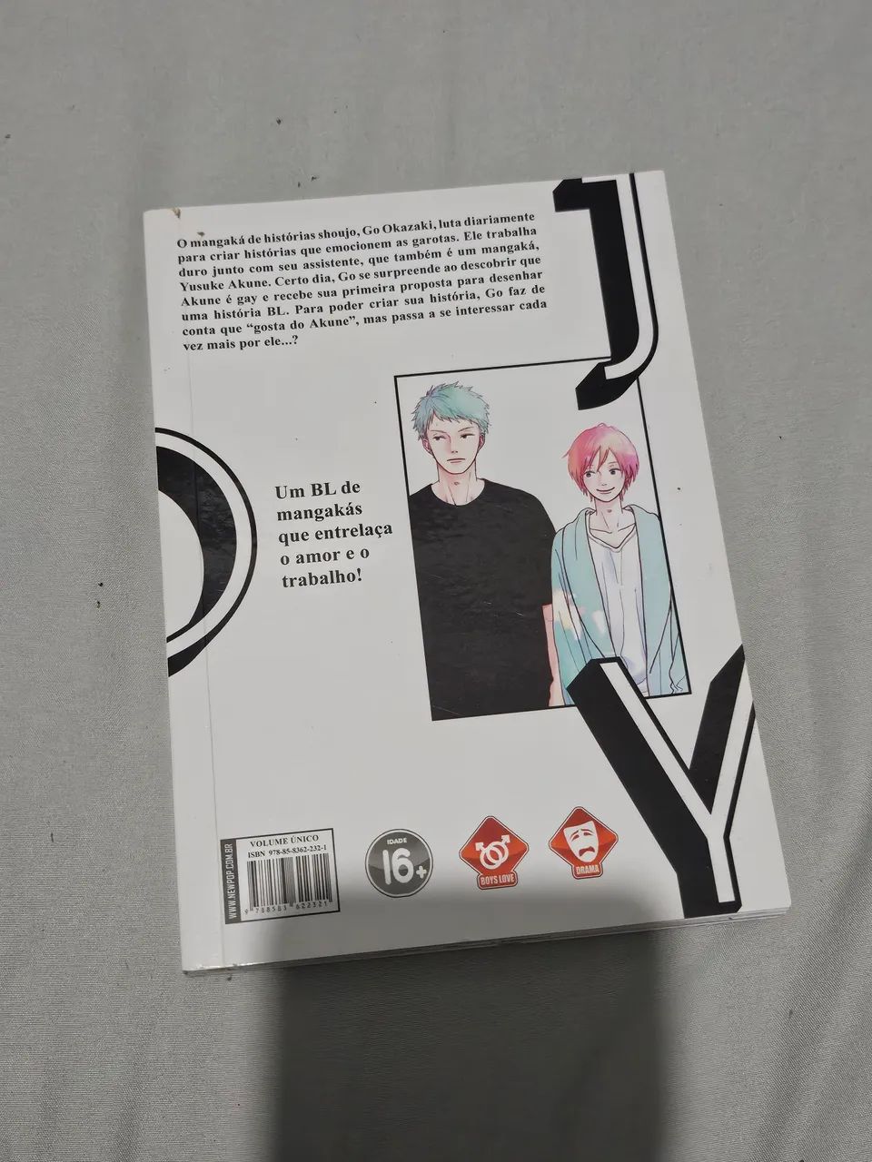 Mangá Yaoi Joy Etsuko - Foto 2