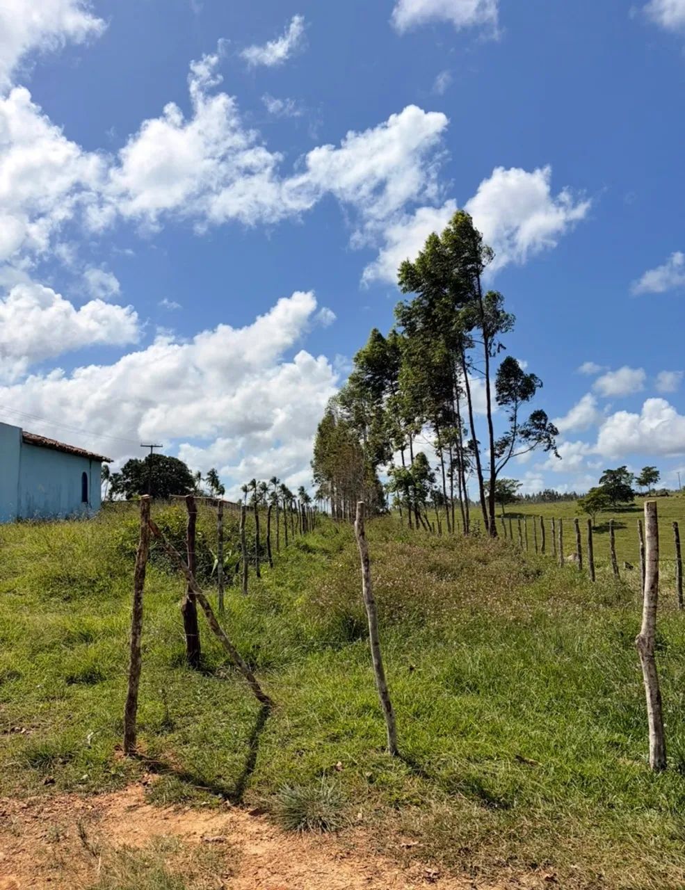 Terreno em Estância - Foto 4
