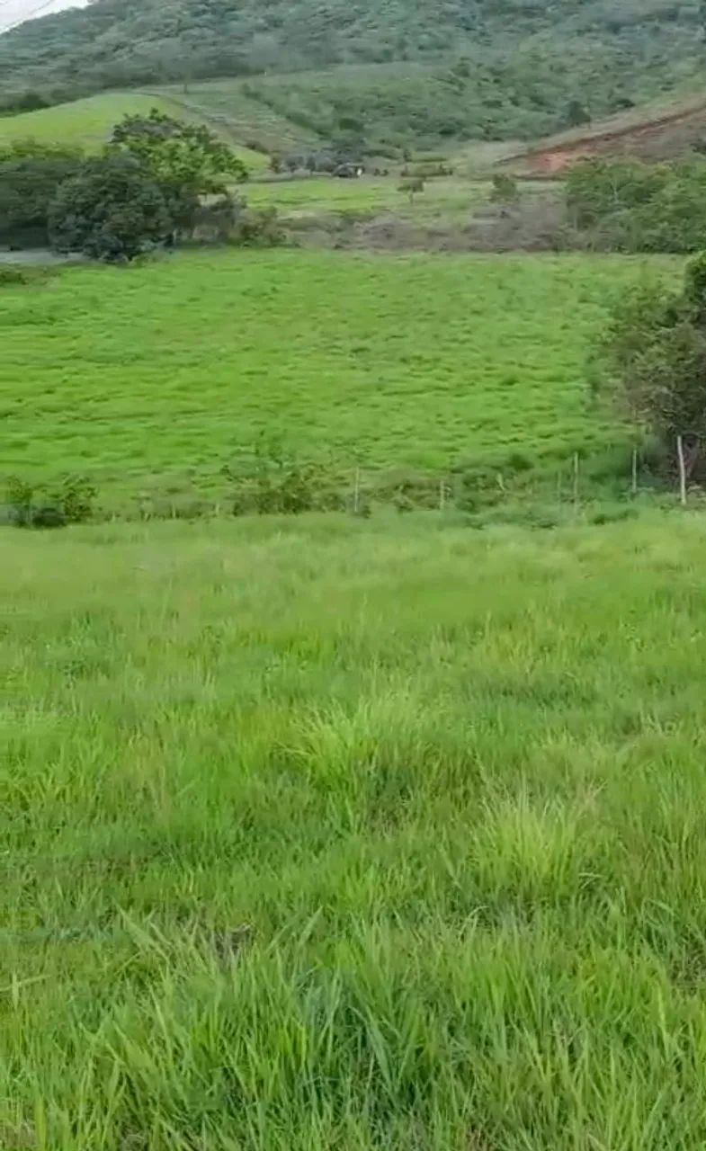Sítio Disponível em Alagoa Grande  - Foto 4