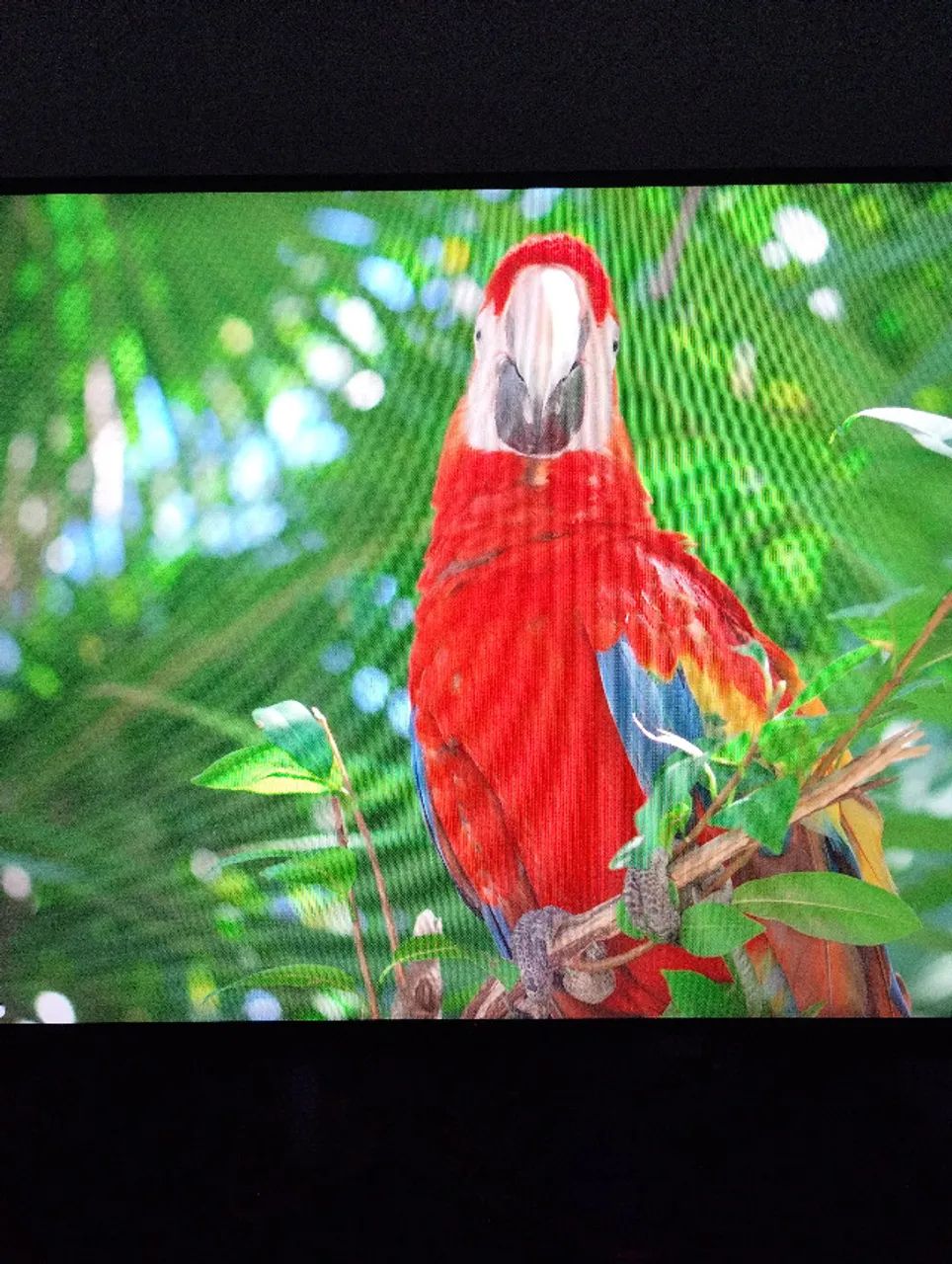 MONITOR AOC HERO 27G2 - Foto 3