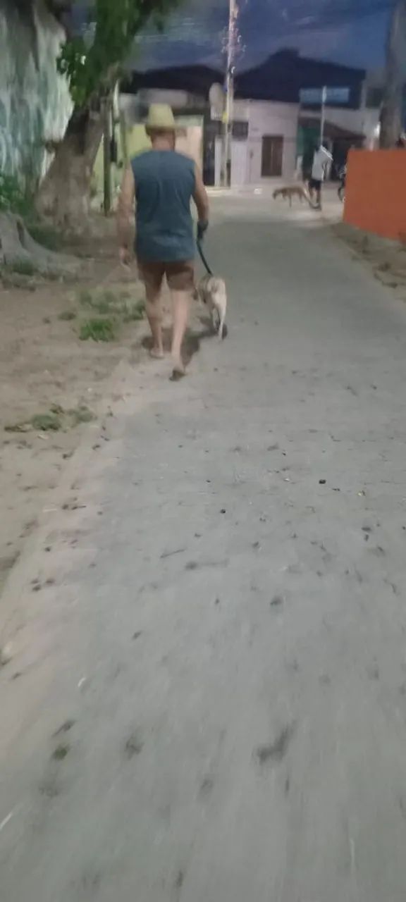 Cuidador de pet - Foto 4