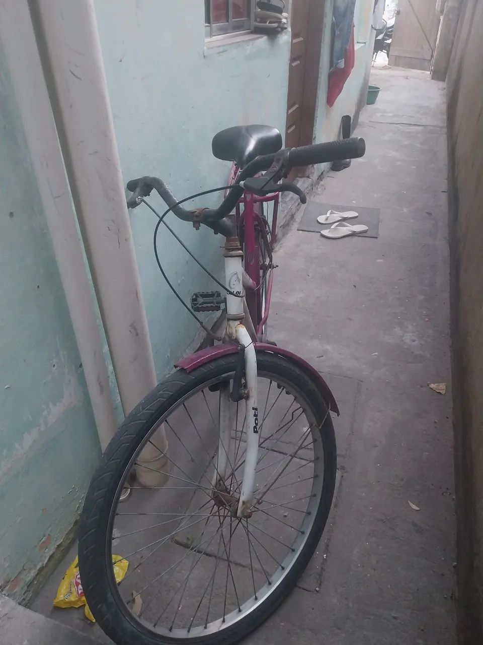 Caloi poti - Foto 2