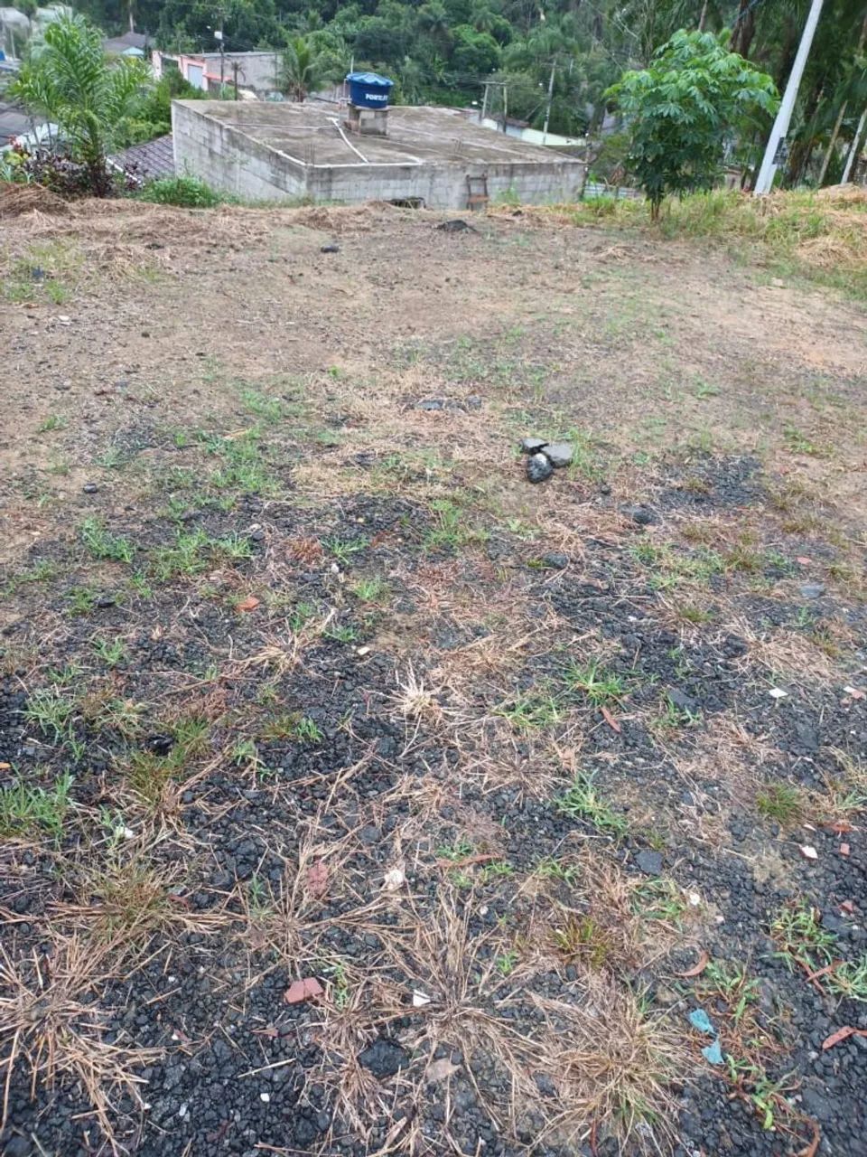 Terreno em Juquiá  - Foto 5