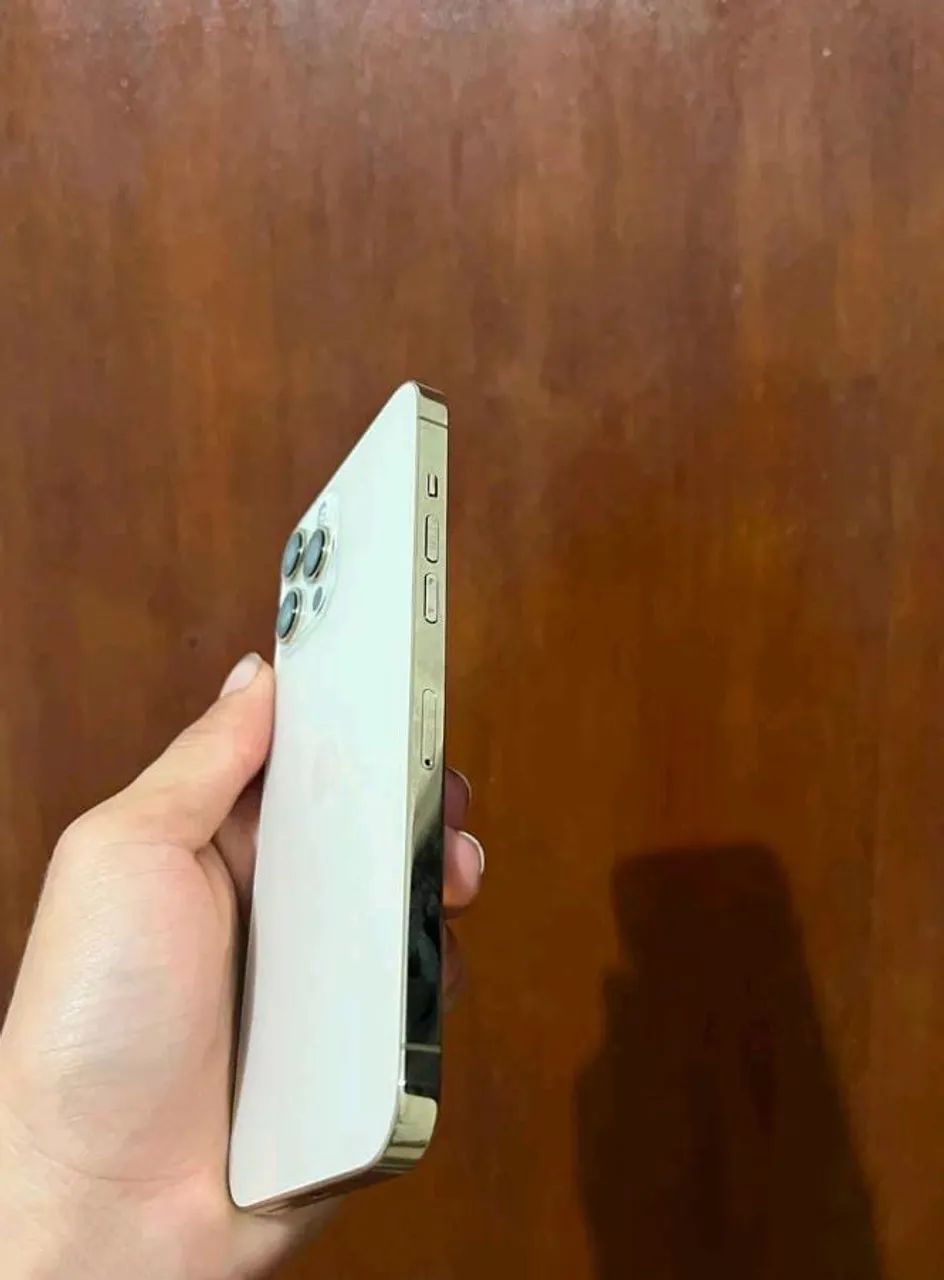iPhone 12 Pro Max ótimo estado 