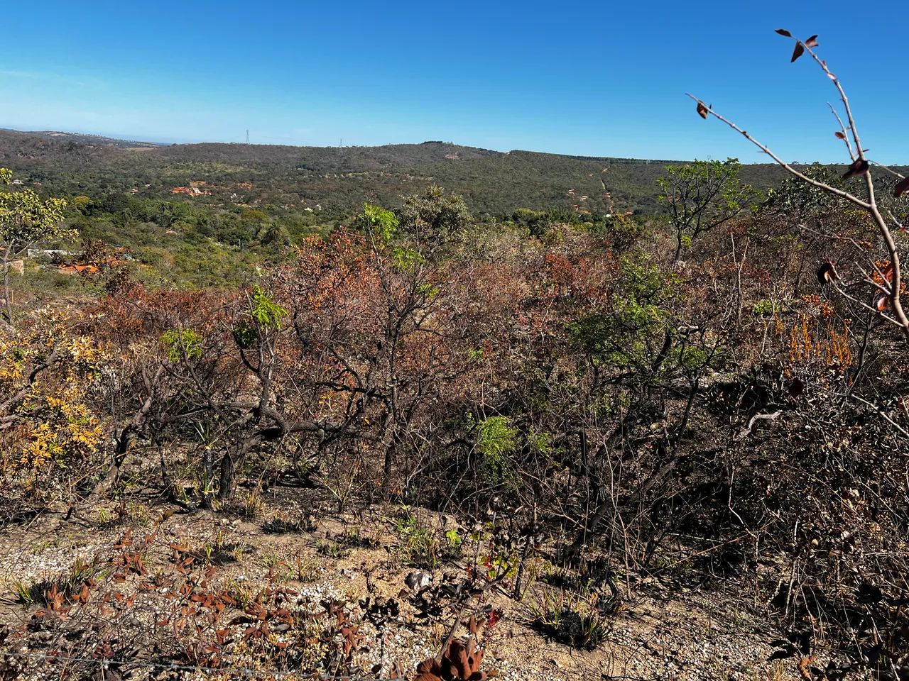 Chácara 1000 m2 - SÃO JOSÉ DA SERRA - Foto 4
