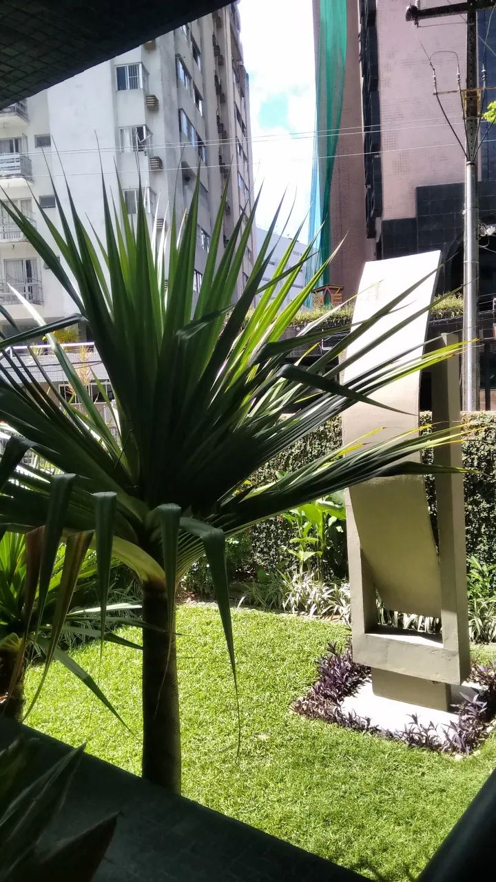 OPORTUNIDADE DE MORAR BEM - Foto 3