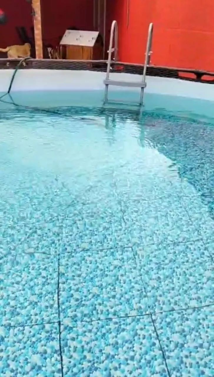 PISCINA GRANDE 