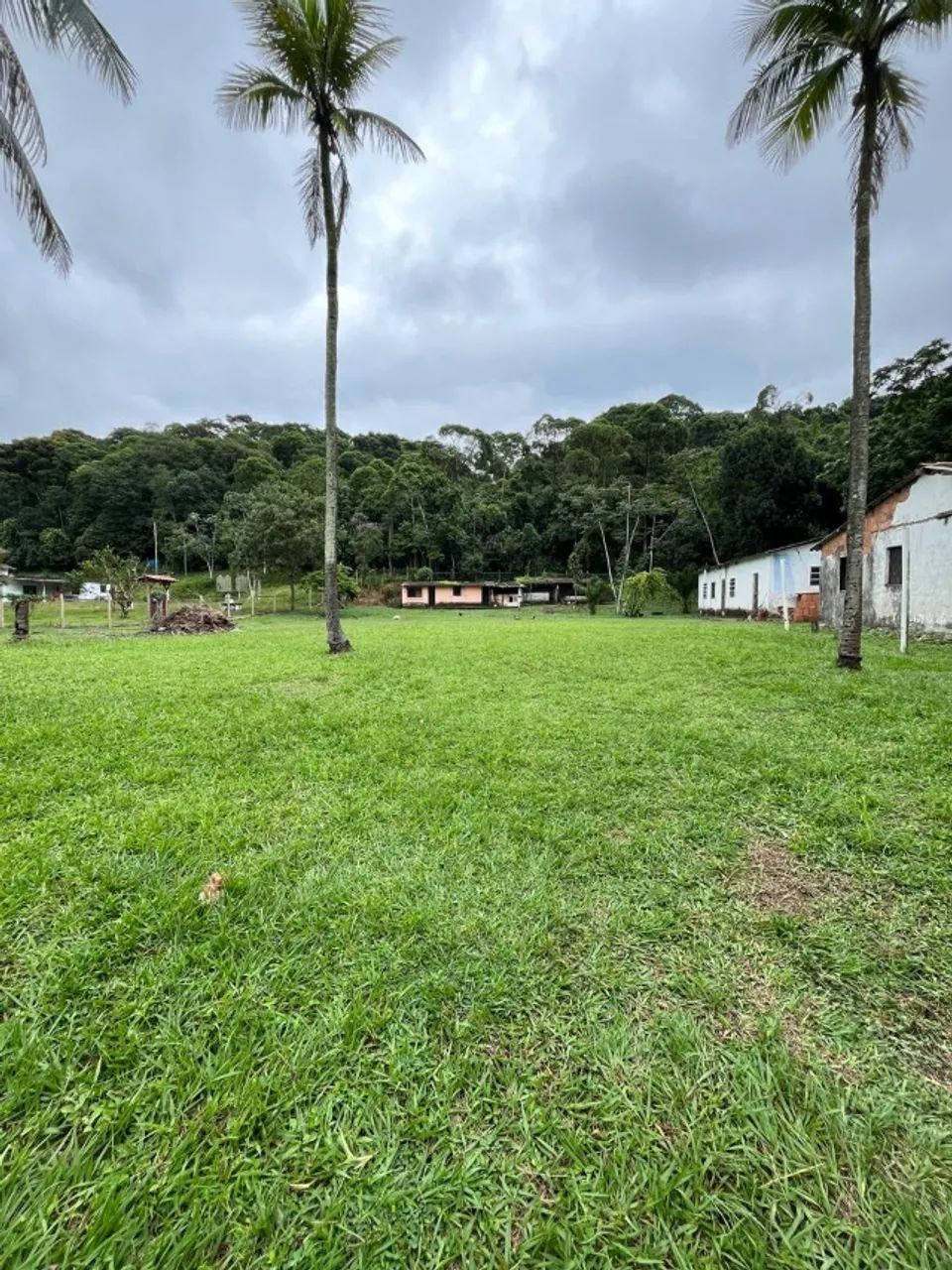 Sítio em Barão de Guandu - Foto 8