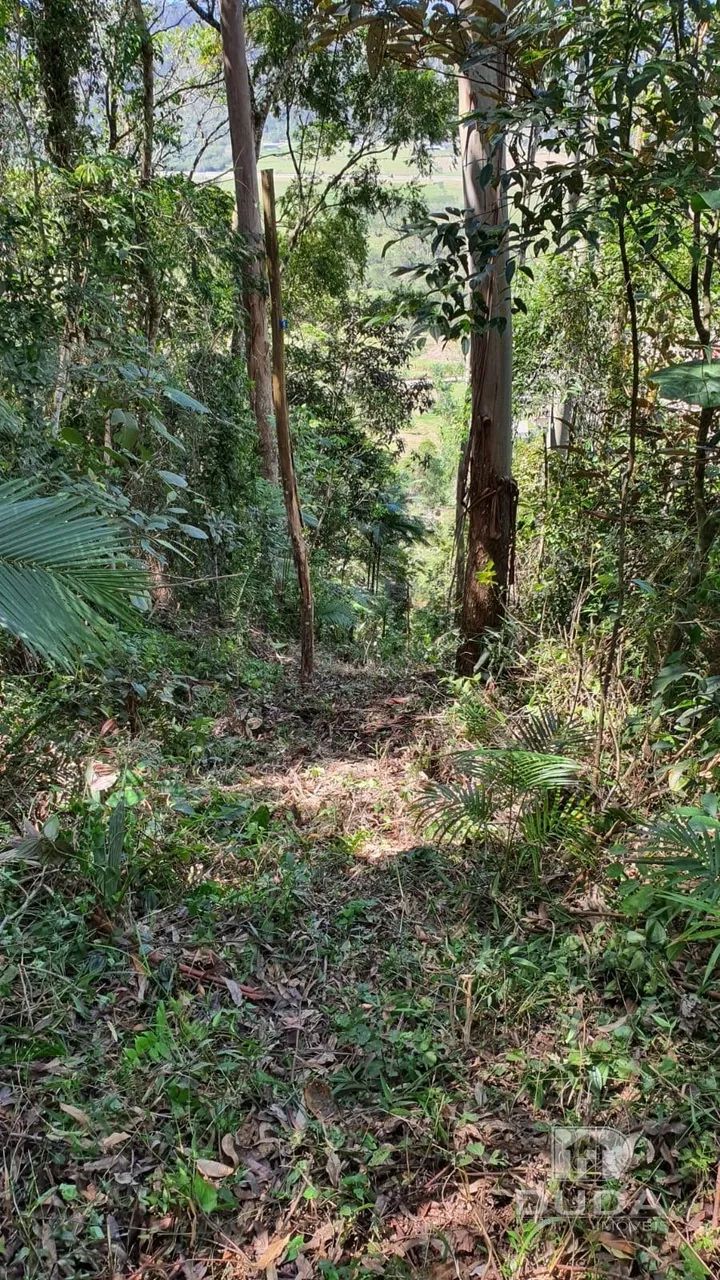 Terreno rural 2000m² em biguaçu - Foto 4
