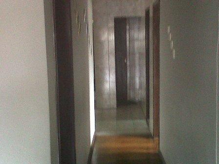 Casa à venda com 3 dormitórios em Flávio marques lisboa, Belo horizonte cod:169 - Foto 7