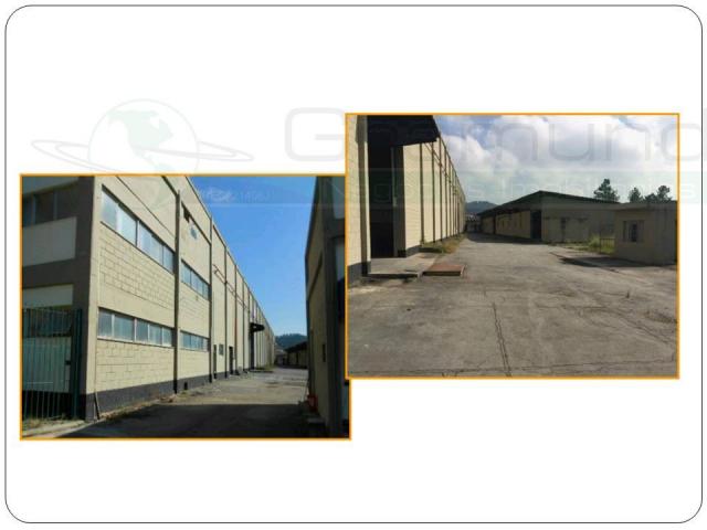Galpão/depósito/armazém à venda cod:5728 - Foto 6