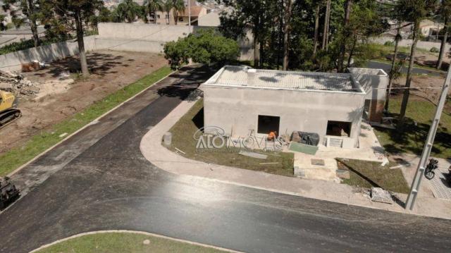 Terreno à venda, 123 m² por r$ 173.558,11 - pinheirinho - curitiba/pr