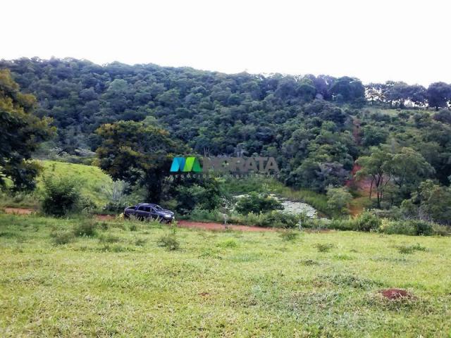 FAZENDA - 122,80 hectares - PEQUI (MG) - Foto 3