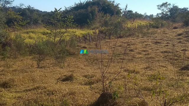Fazenda à venda - 40 hectares - lavras (mg) - Foto 3